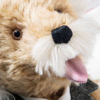 Steiff Albert Einstein Teddy Bear Limited Edition