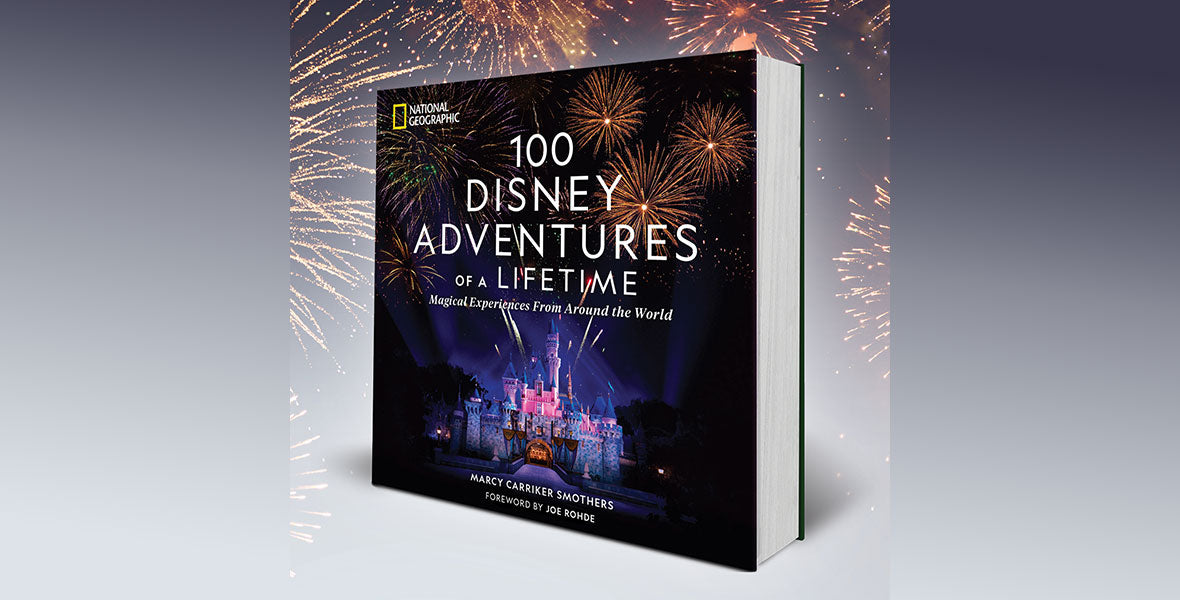 Stage Nine's Disney 100 Exhibition VIP Event