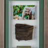 Framed Elephant Skin