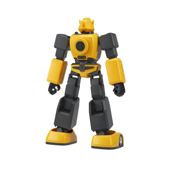 Bumblebee G1 Performance Transformer
