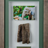 Framed Elephant Skin