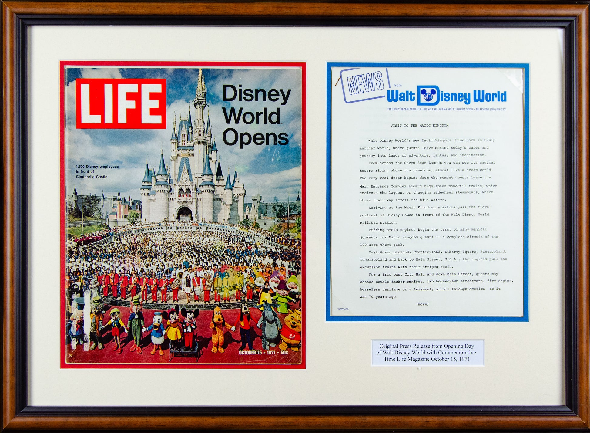 Disney Photo Album - Parks Life - Walt Disney World - Medium