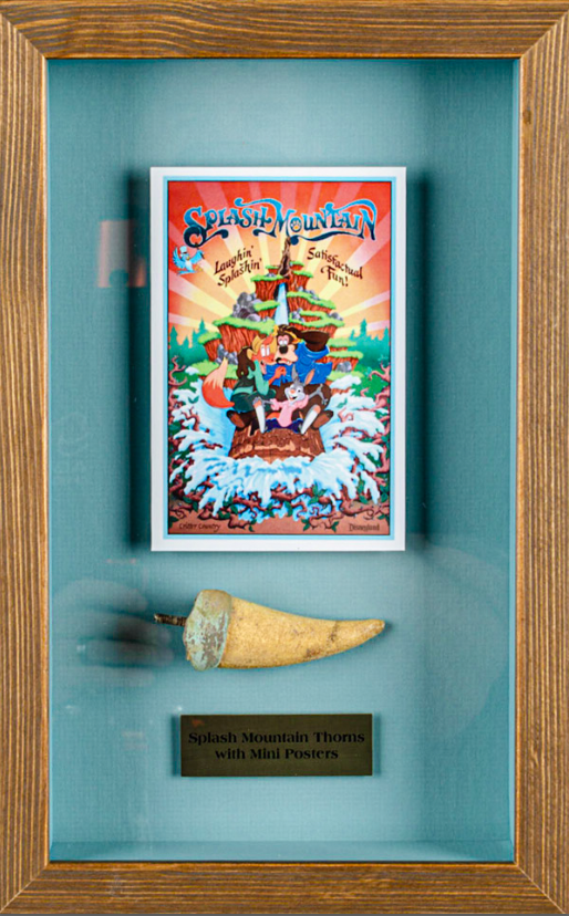 Splash Mountain Thorn with Mini Poster
