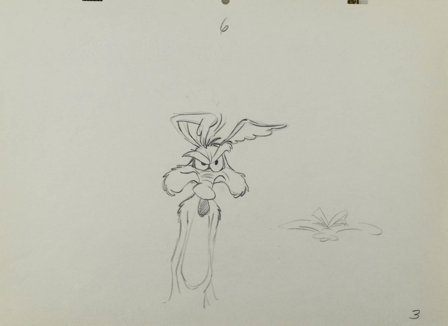 Wiley Coyote Irritated Production Drawing