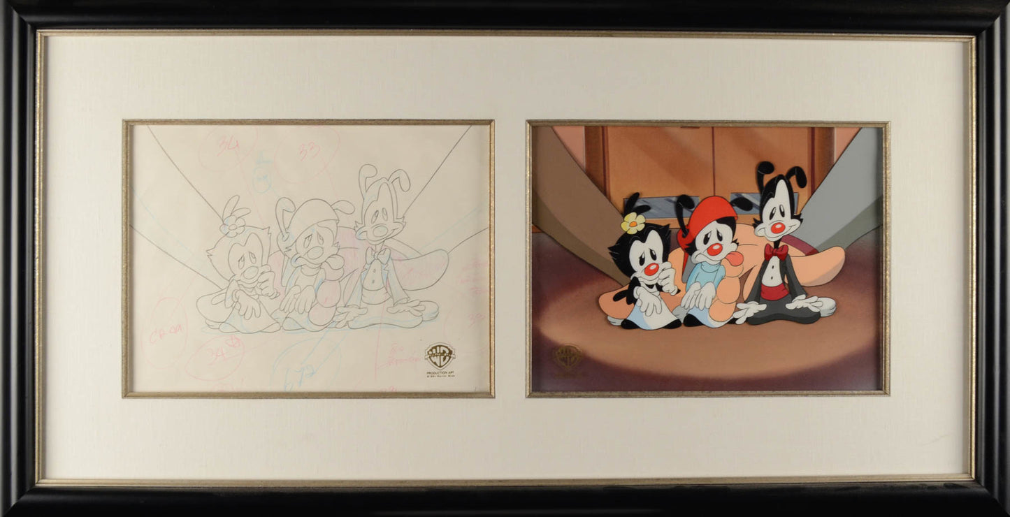 ANIMANIACS Production Drawing & Hand Painted Cel