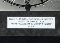 True Life Adventure Title Card