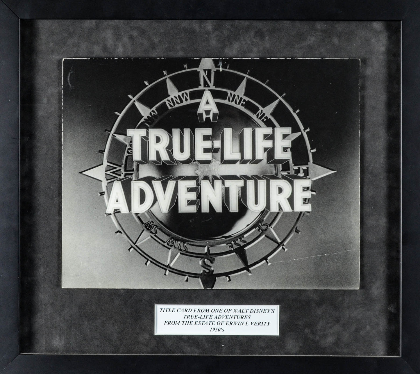 True Life Adventure Title Card