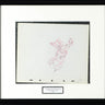 Donald Duck Production Drawing