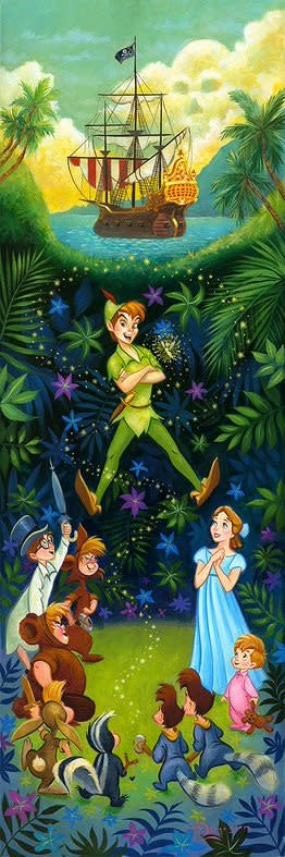 The Hero of Neverland -  Disney Treasure On Canvas