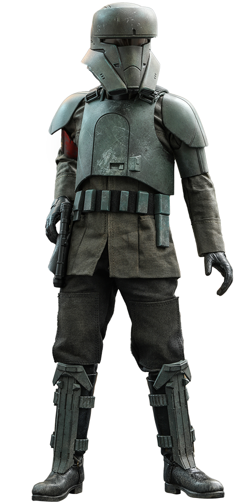 Transport Trooper Star Wars 1:6 Scale Figure Hot Toys