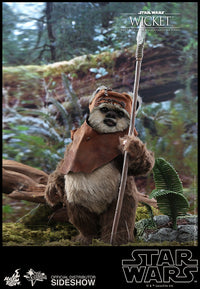 Wicket 1:6 Scale